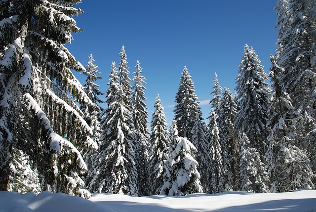 destinos da Europa no inverno