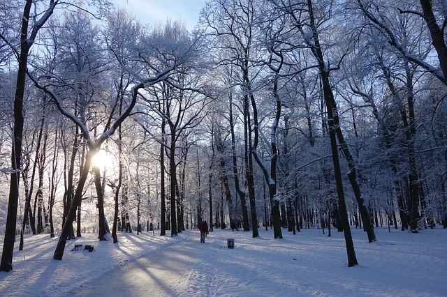 destinos da américa do norte no inverno