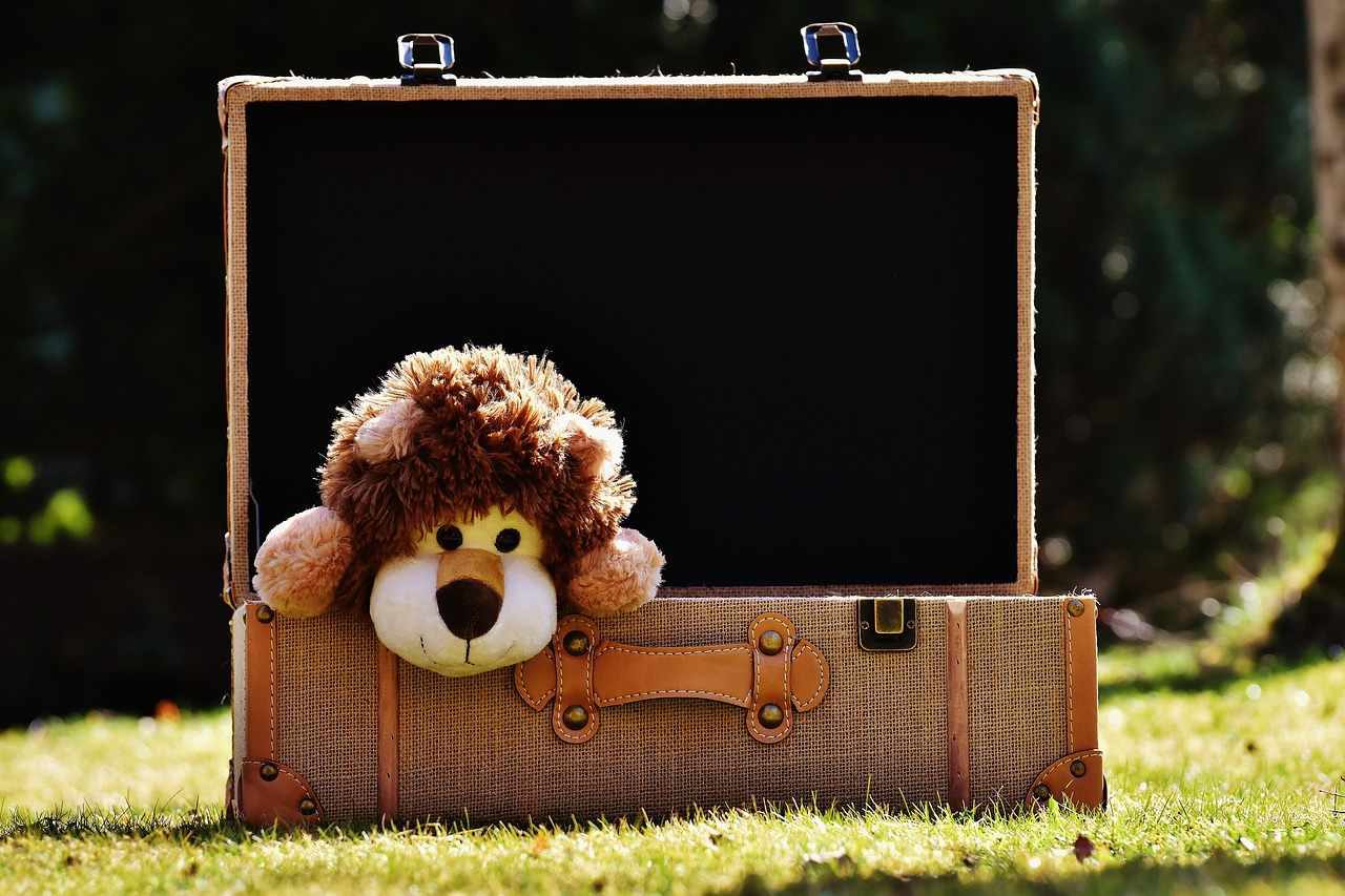lugares para viajar com bebe de um ano